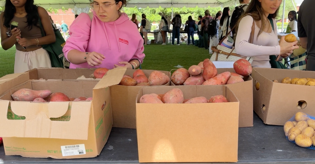 Photo by Tierra Varela